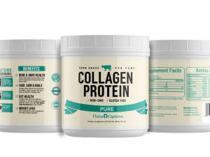 Collagen Protein